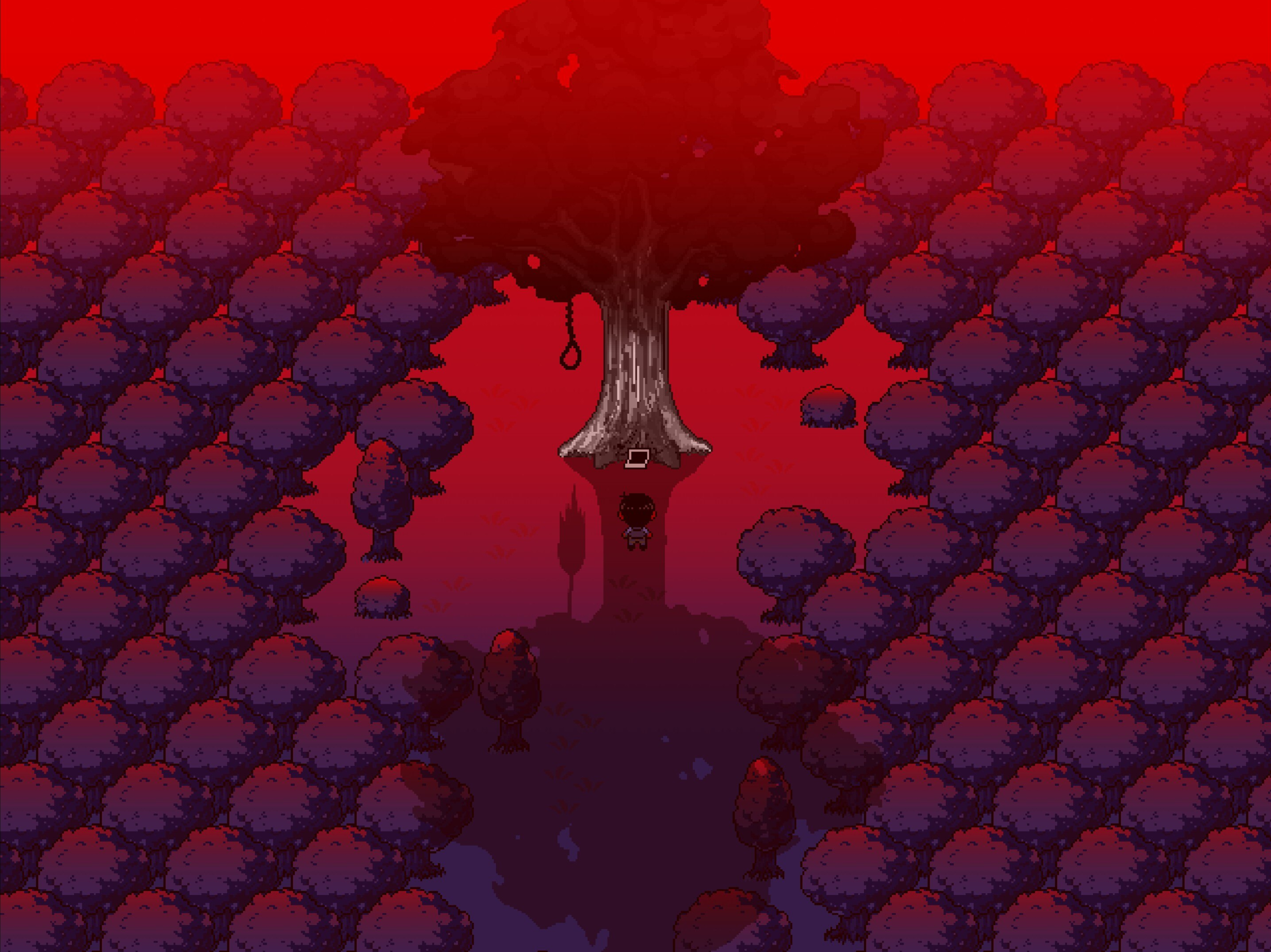 Descrição da imagem 4