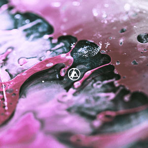 Capa do Álbum