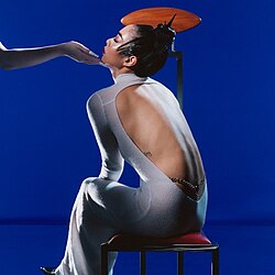 Capa do Álbum