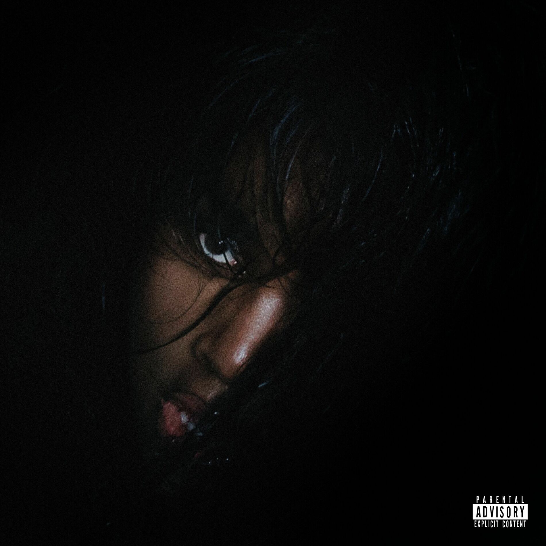Capa do Álbum