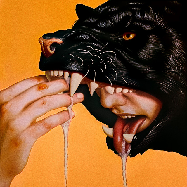 Capa do Álbum